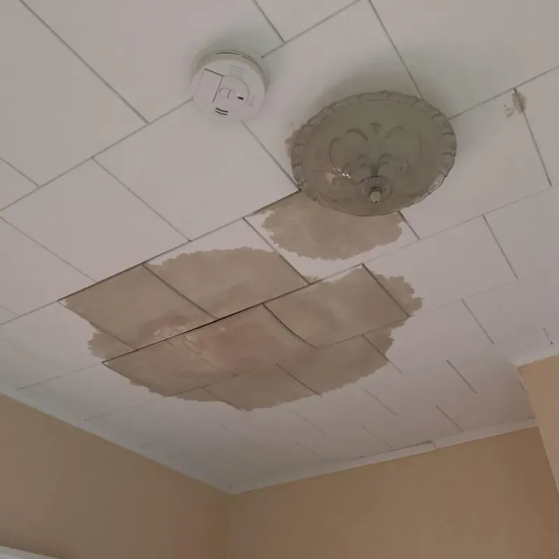Ceiling Water Damage Repair in Forest City, NC