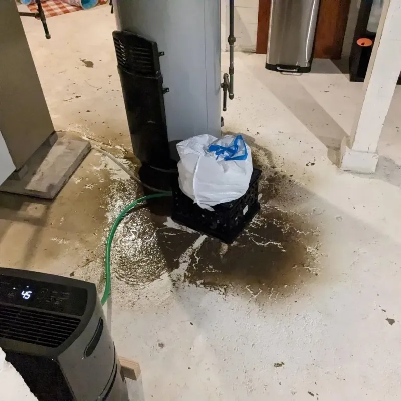 Sewage Backup Cleanup Service in Forest City, NC